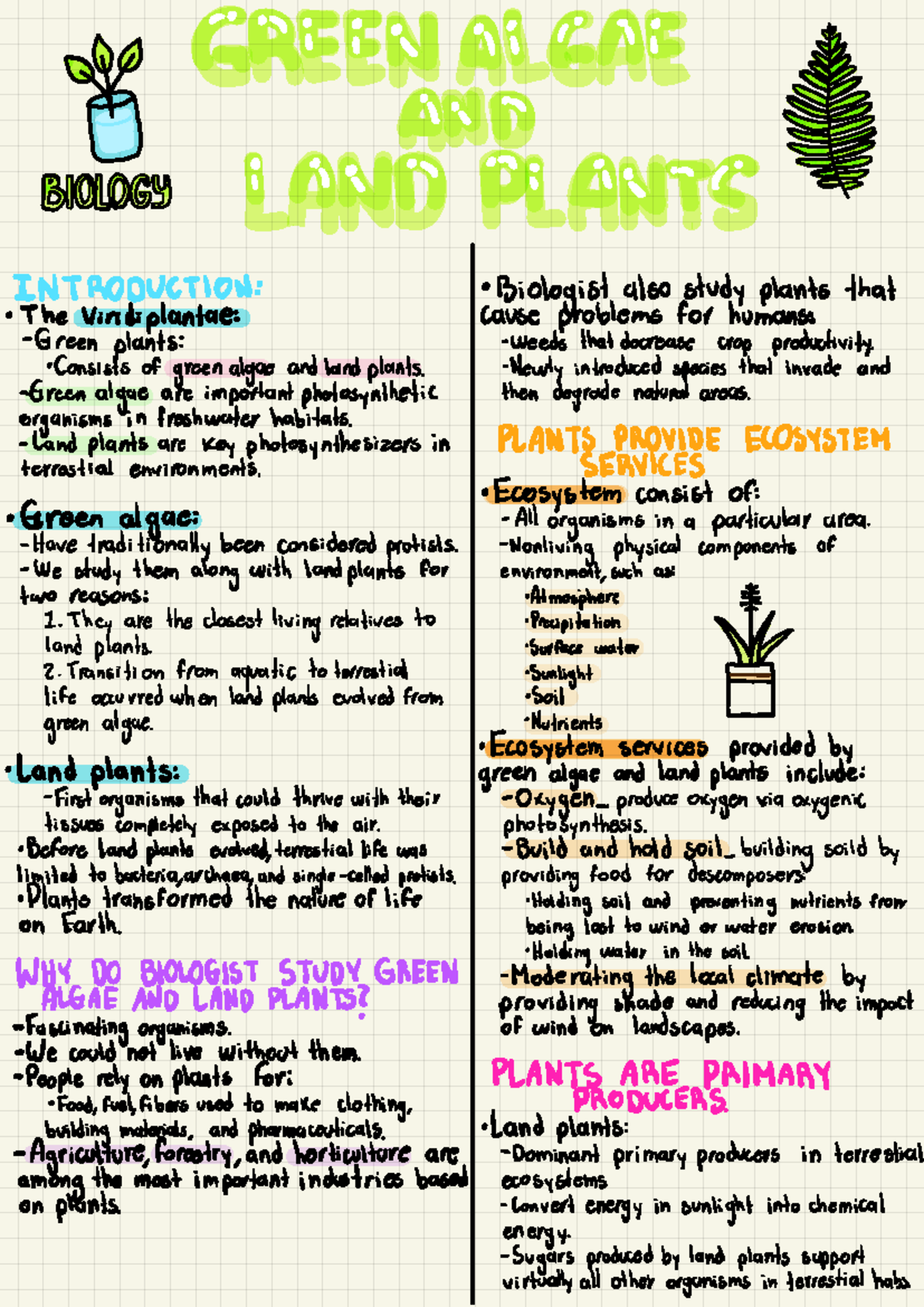 BIO1307 Green Algae and Land Plants - → • i ¡ ¡ ¡ ¡ ¡ ¡ ¡ ¡ * Firmaré ...