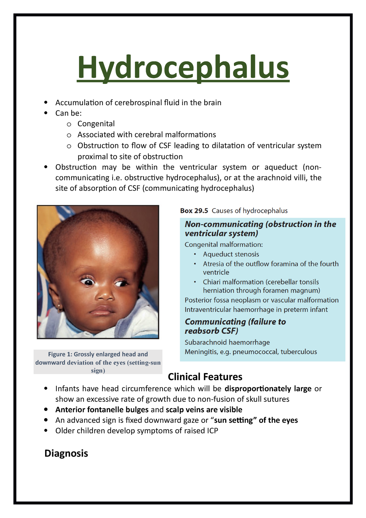 nursing case study on hydrocephalus