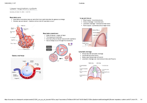 IR(ME)R (2017 ) - Summary of IR(ME)R 2017 Legislation - 03/03/2022, 19 ...