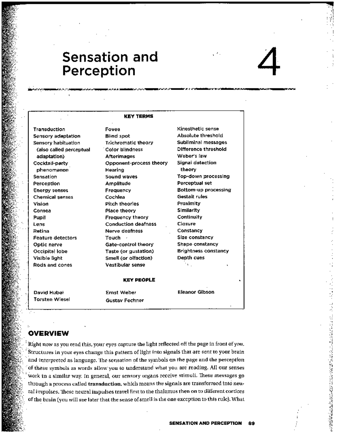 Ch4Barrons Sand P - Sensation and perception chapter reading/lecture ...