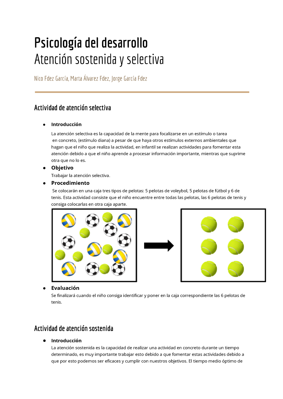 Prácticas Psicología Atención Selectiva Y Sostenida Psicología Del Desarrollo Atención 9931