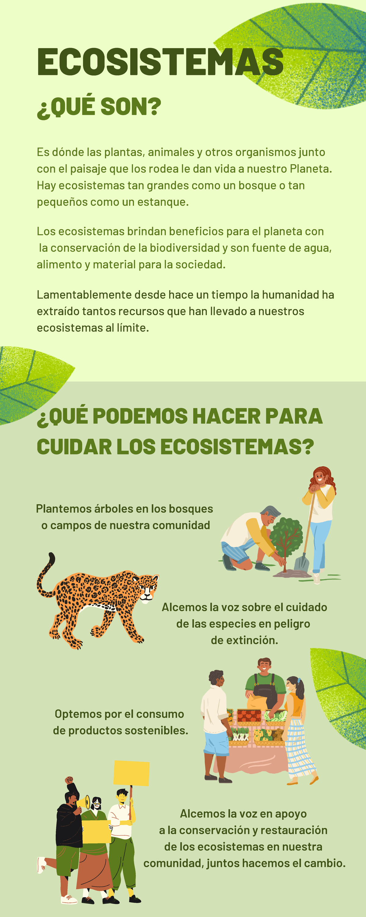 Infografía Sobre El Cuidado De Los Ecosistemas Ecosistemas ¿quÉ Son