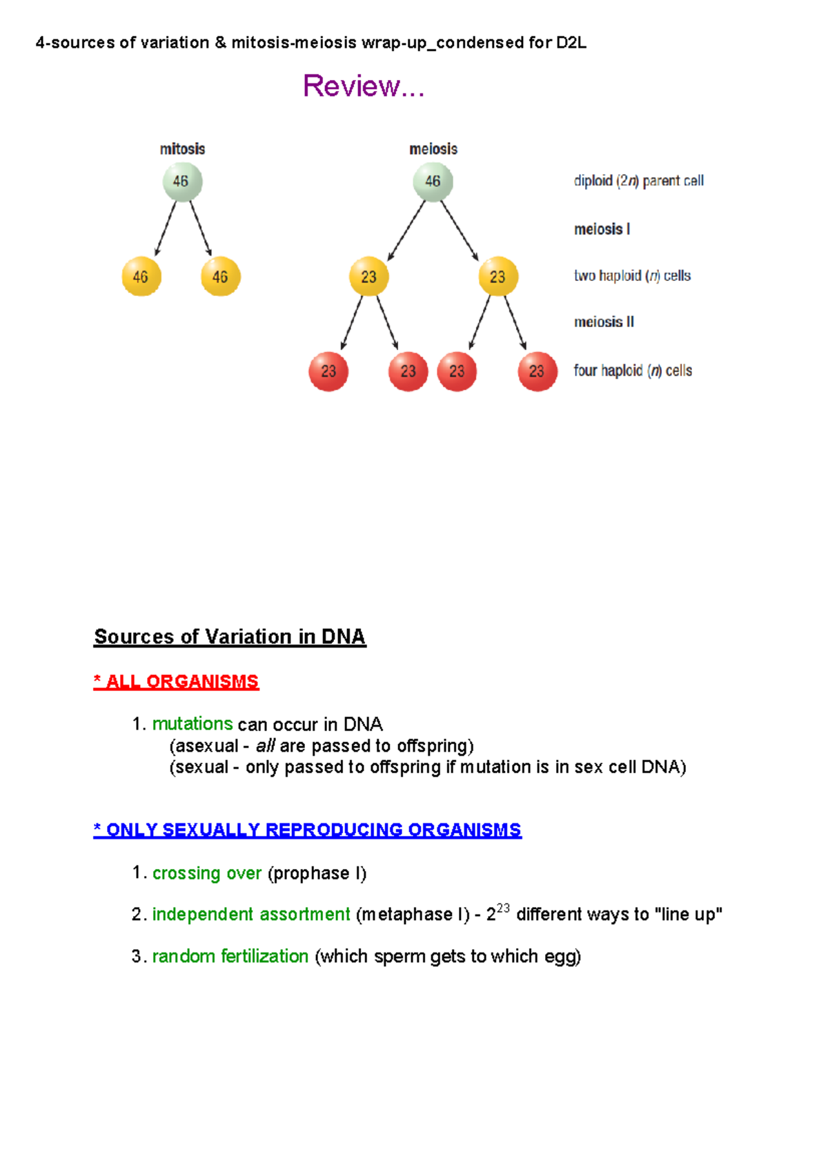 4-sources of variation & mitosis-meiosis wrap-up - - Studocu