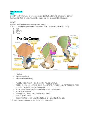Unit 5B- Pelvic (Female Reproductive System) - UNIT 5: PELVIC P2A: (KEY ...