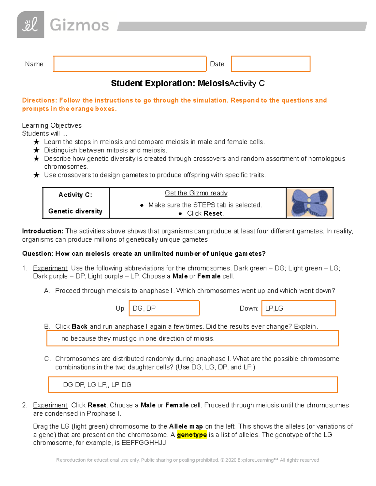 Meiosis Gizmo Activity C - Name: Date: Student Exploration ...