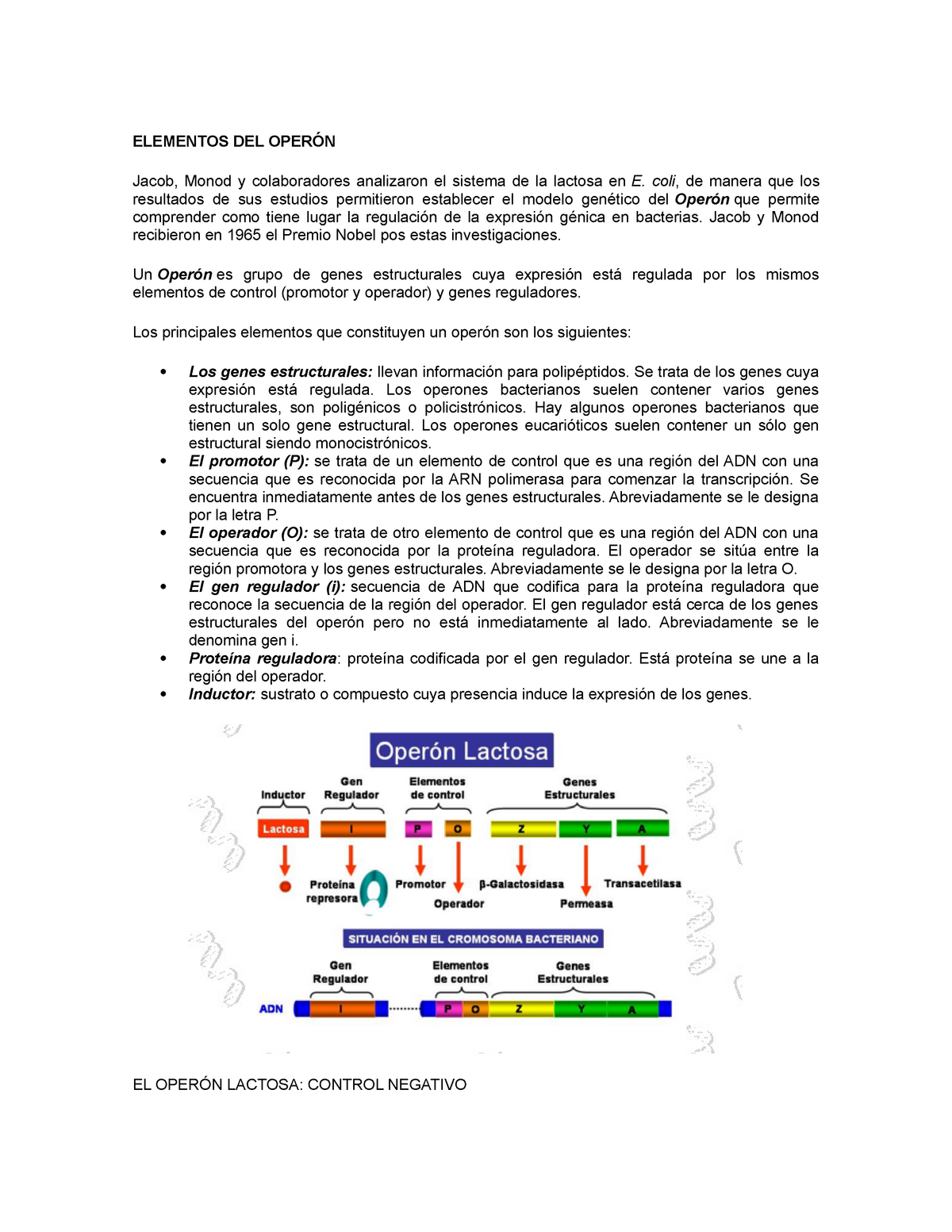 Elementos del Operón - ELEMENTOS DEL OPERÓN Jacob, Monod y colaboradores  analizaron el sistema de la - Studocu