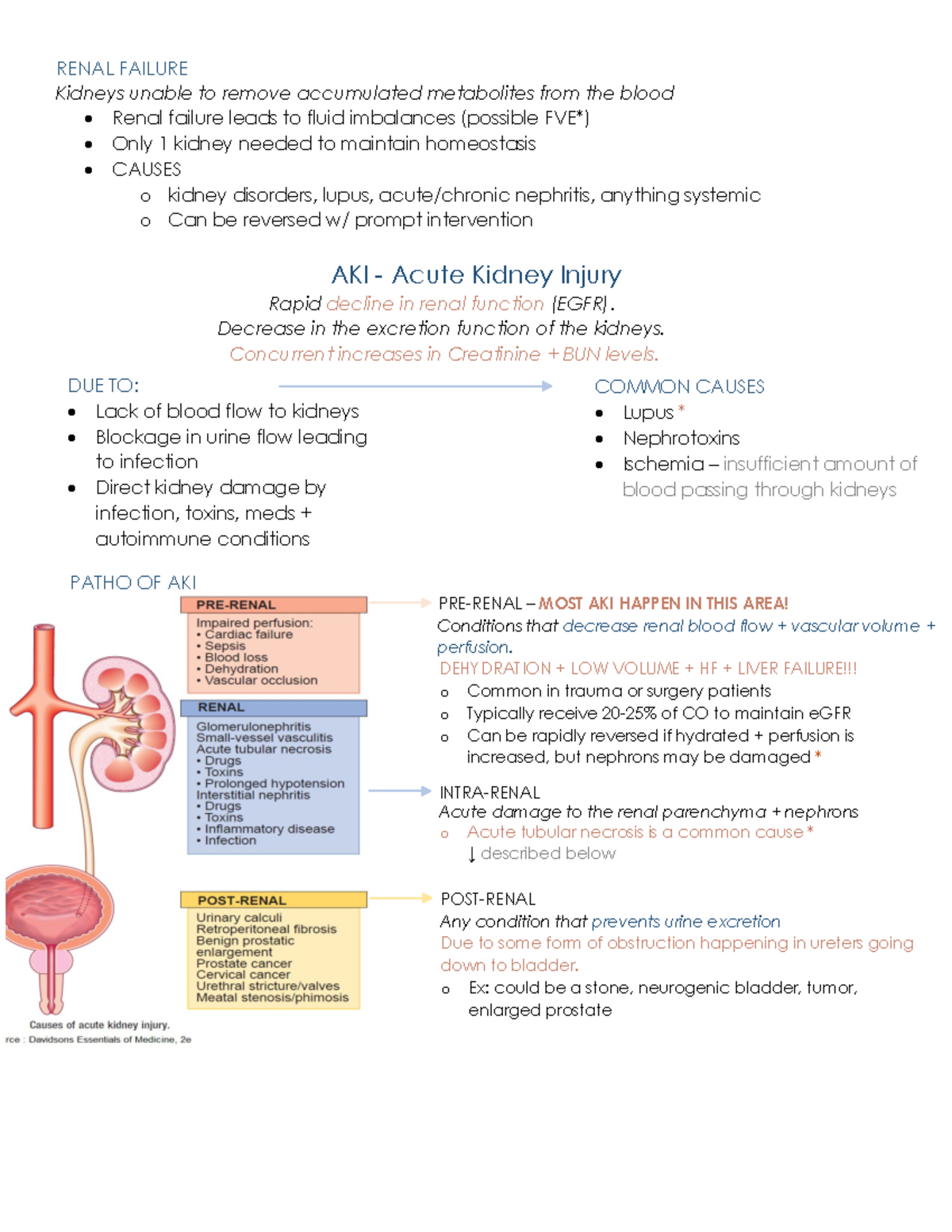 Acute Kidney Injury study guide DUE TO • Lack of blood flow to