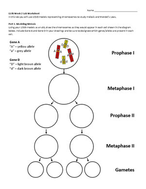 LS7B Week 3 Pre-Class Reading Guide - Name ...