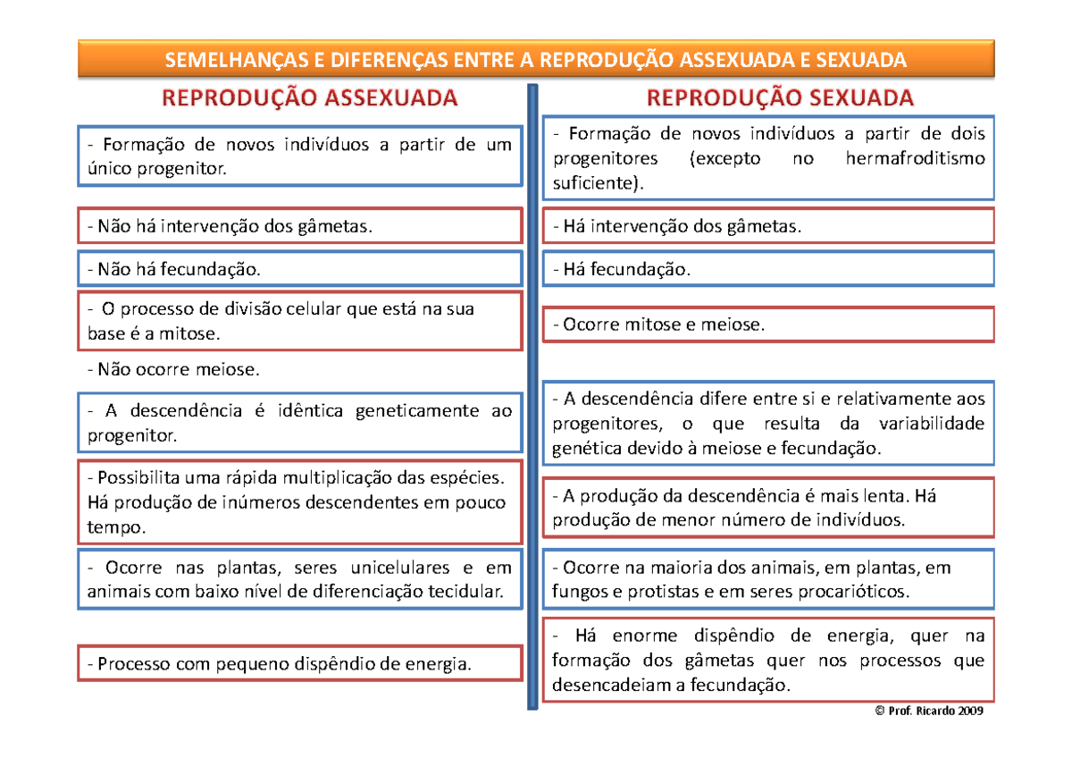 Reproduo sexuada - Biologia-Geologia - SEMELHANÇAS E DIFERENÇAS ENTRE A ...