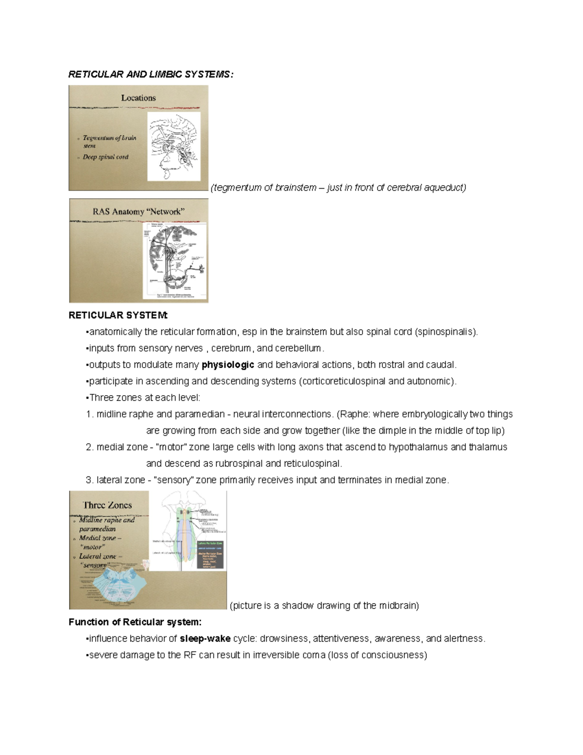 Reticular and Limbic Systems - RETICULAR AND LIMBIC SYSTEMS: (tegmentum ...