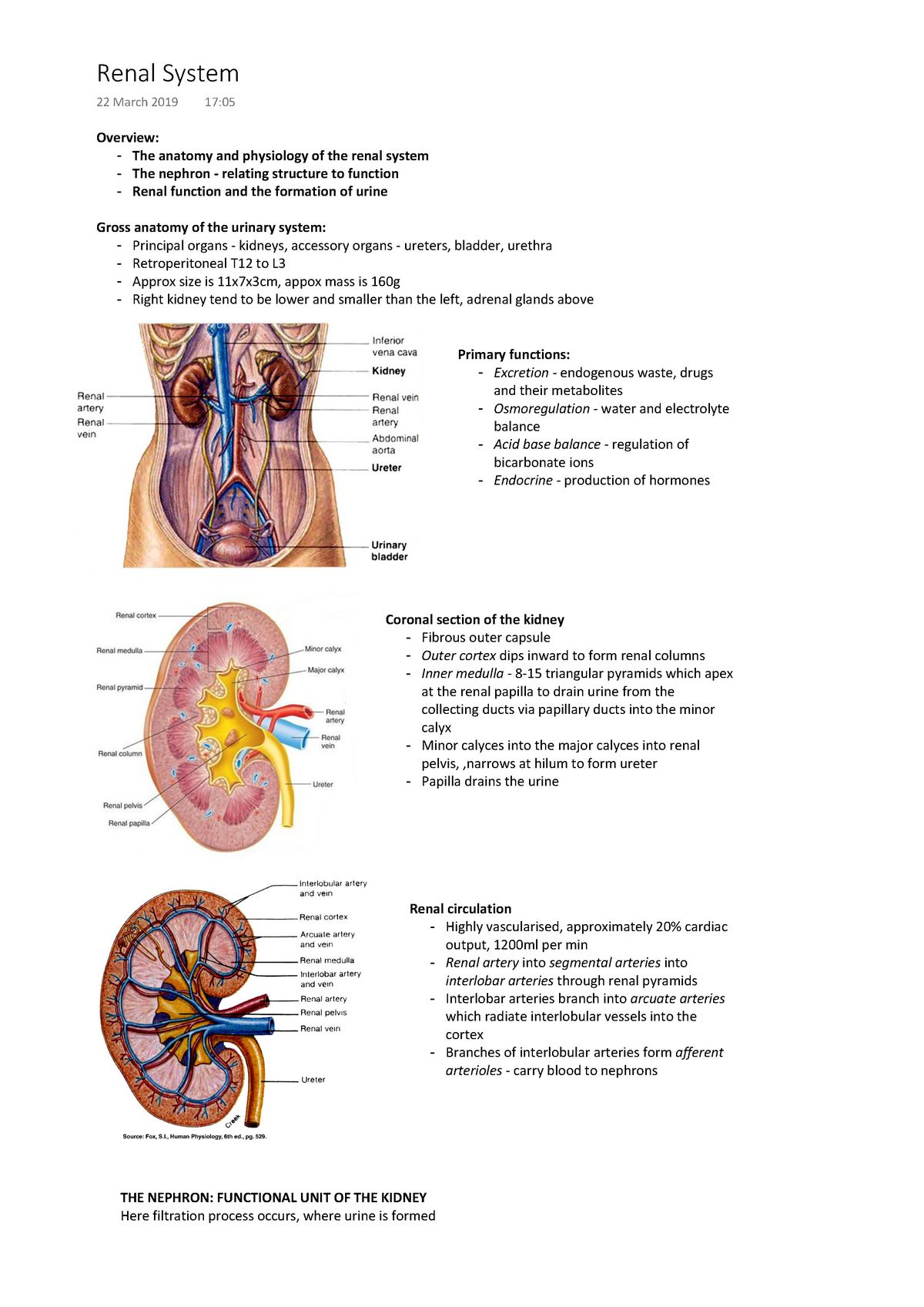 Renal System notes - Presented by Dr Susan Sandeman - Warning: TT ...