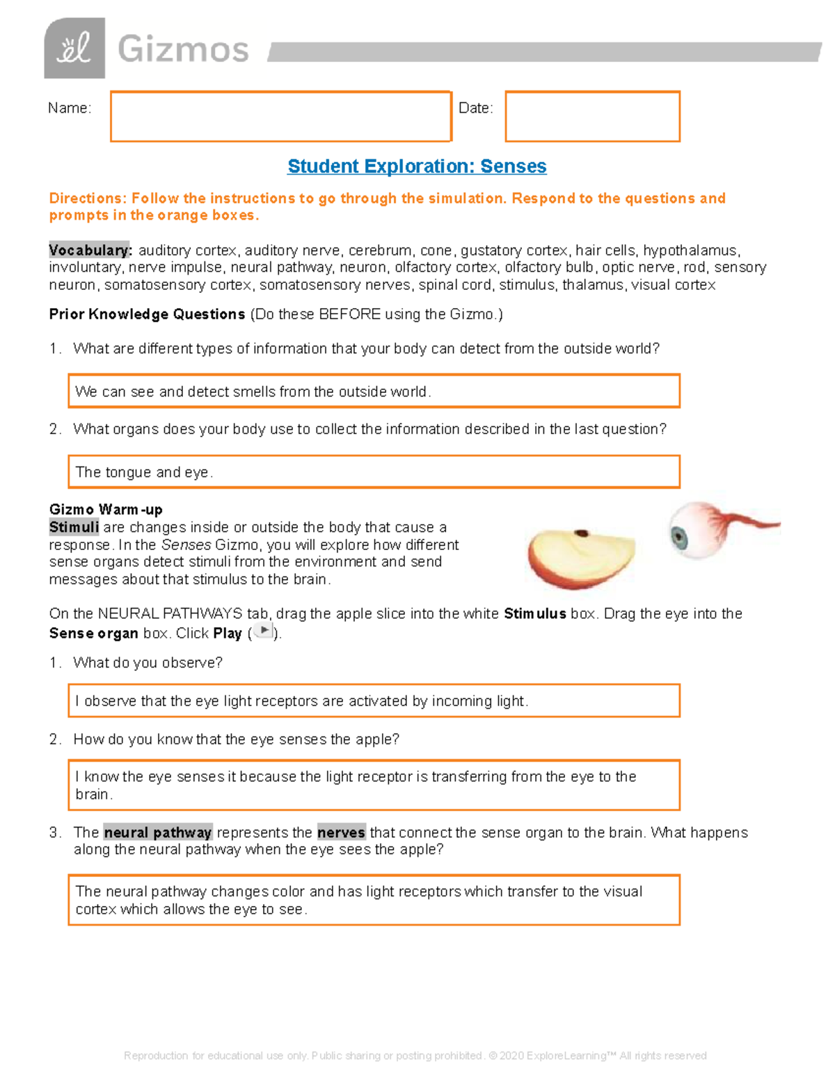 Explore Learning Gizmo Senses Activity A Name Date Student