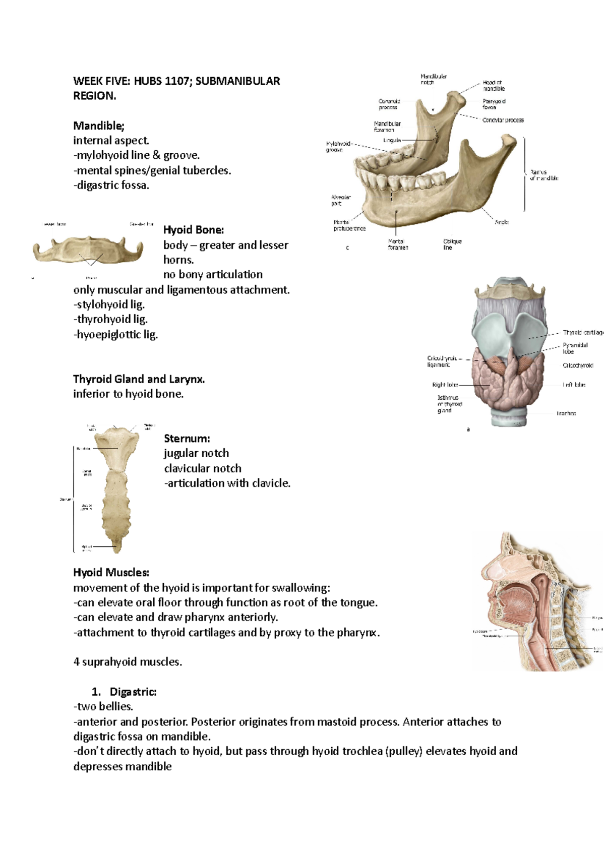 WEEK FIVE - hubs 1107 - Lecture notes 5 - WEEK FIVE: HUBS 1107 ...