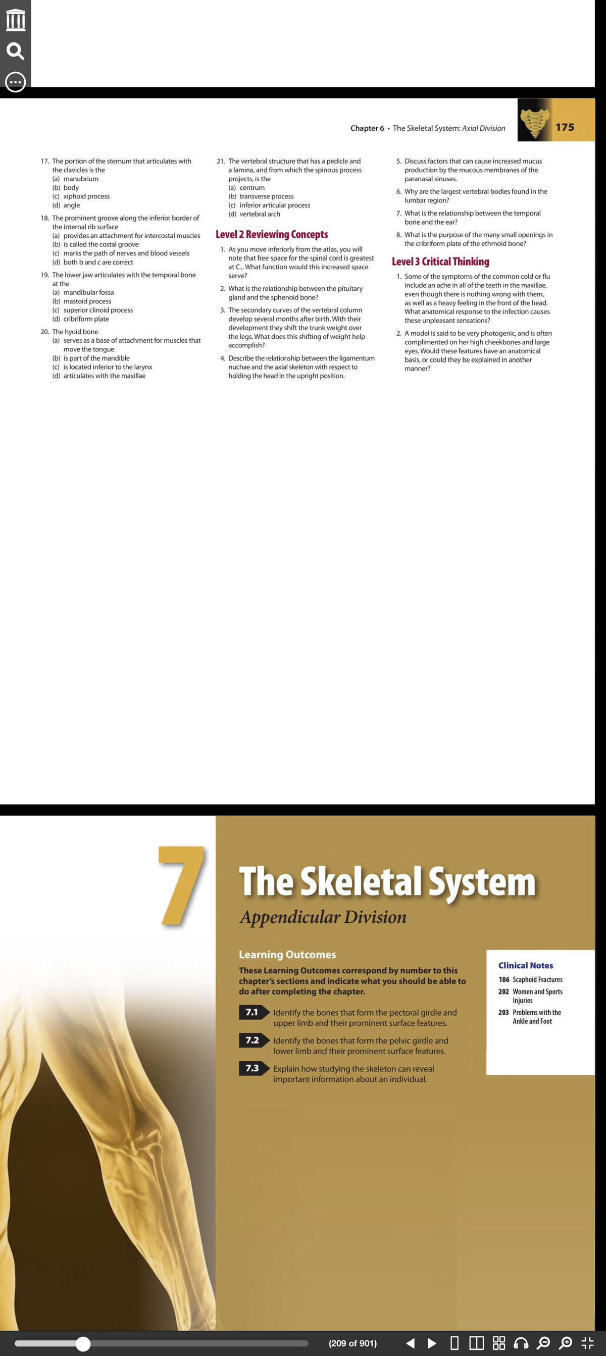 Martini (cocktail) visual data 5