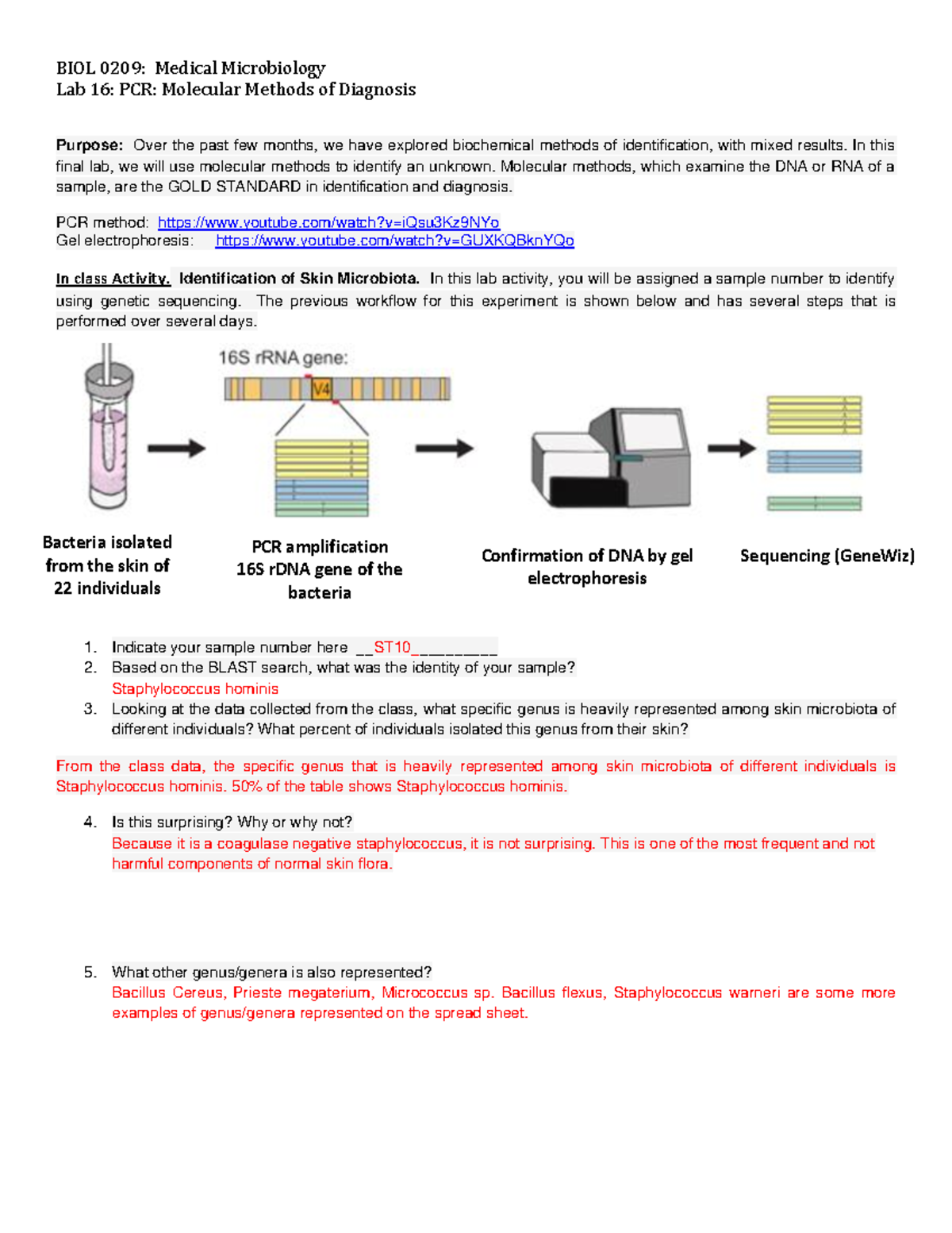 Postlab 16 DNA sequencing - BIOL 0209: Medical Microbiology Lab 16: PCR ...
