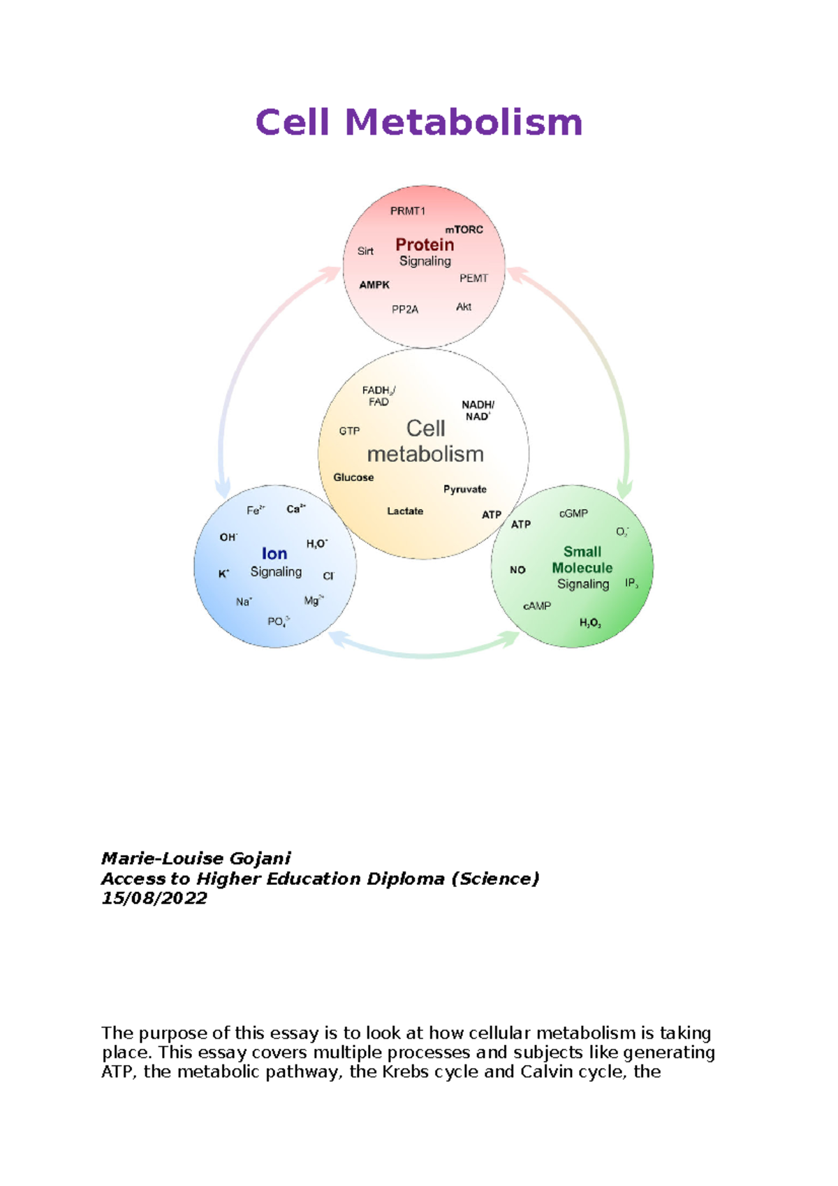 Cell Metabolism - Cell Metabolism Marie-Louise Gojani Access To Higher ...