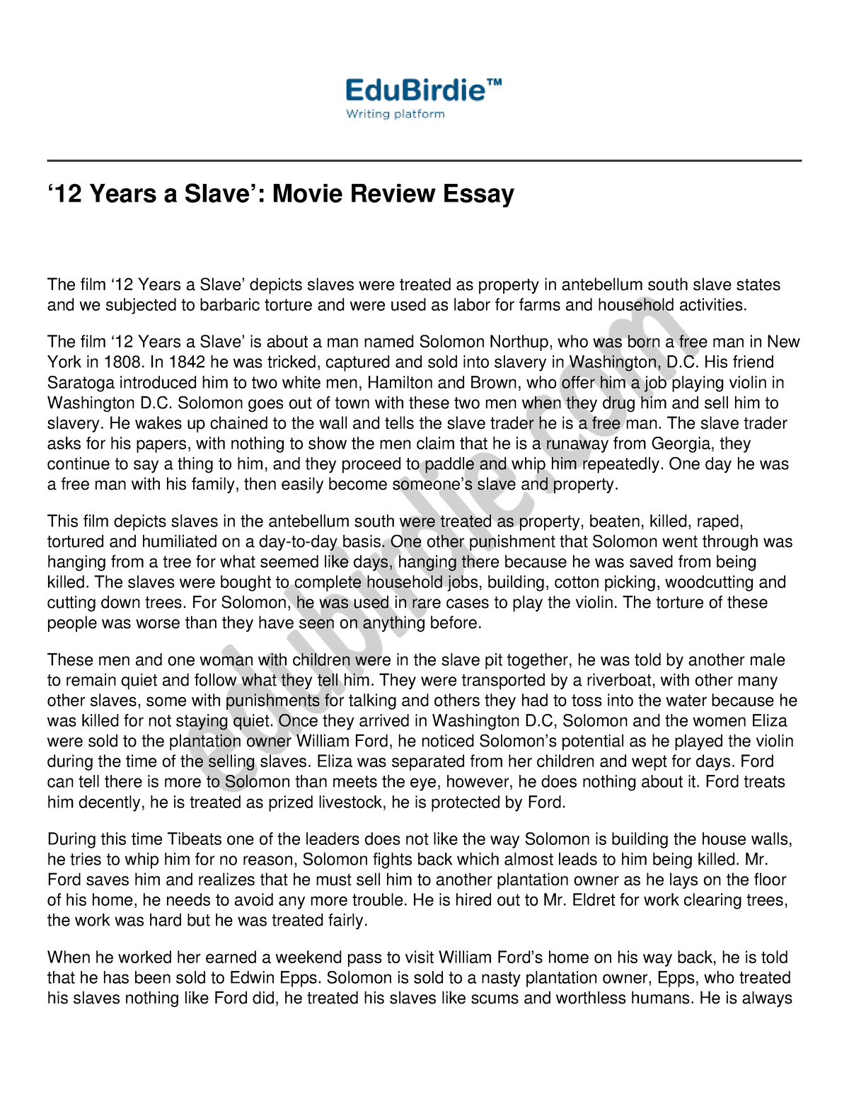 12 years a slave film critique essay