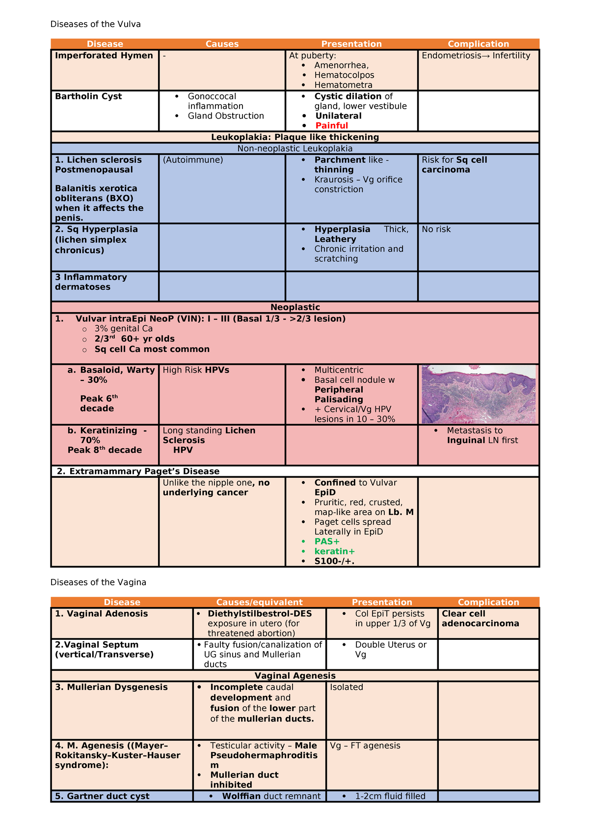Reproductive system pathology - ####### Diseases of the Vulva ...