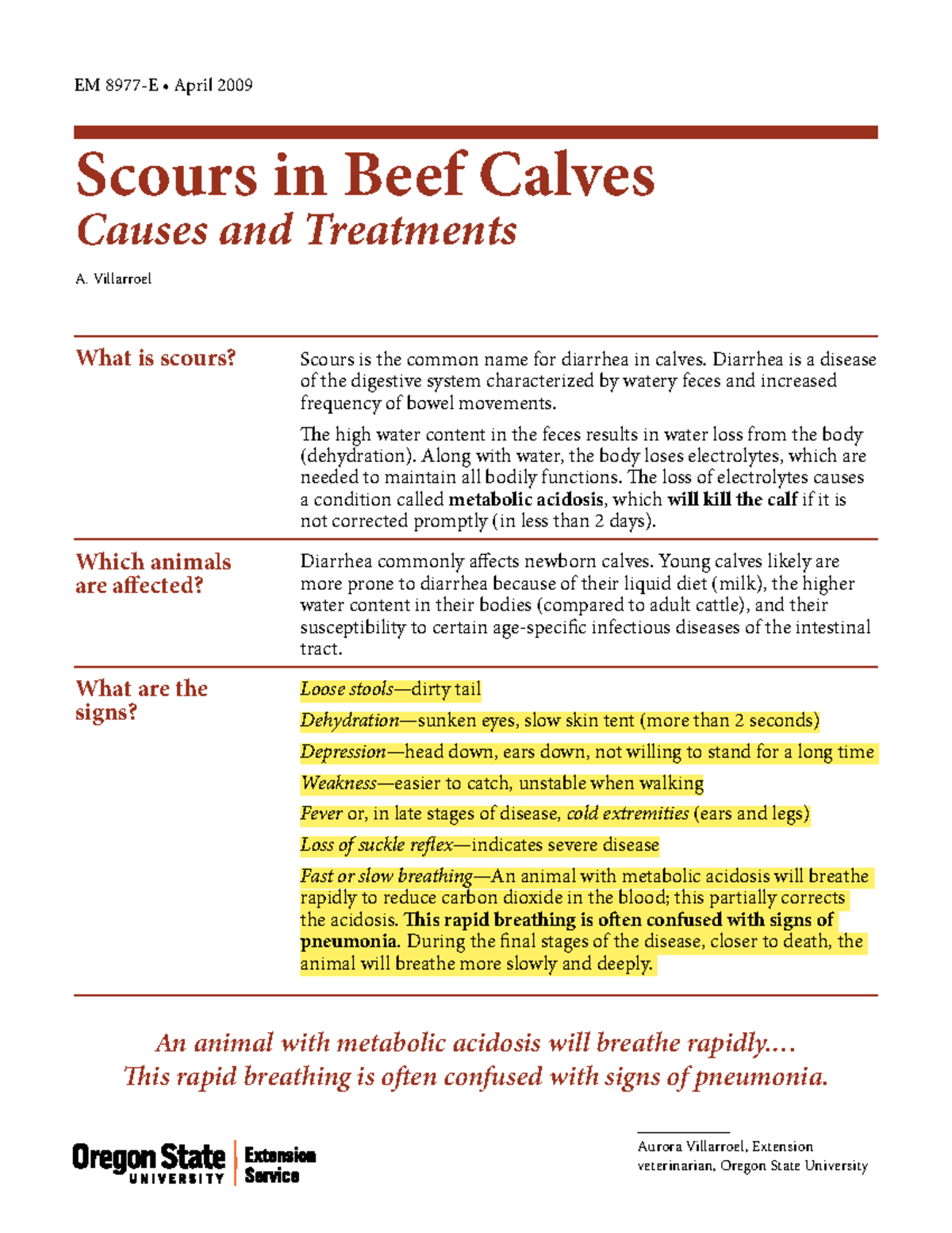 scours-in-beef-calves-calf-what-is-scours-scours-is-the-common