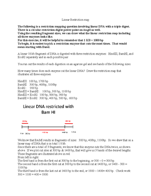 2Pt Map AB - worksheet: Mapping with a 2 Point Testcross - C Mapping ...