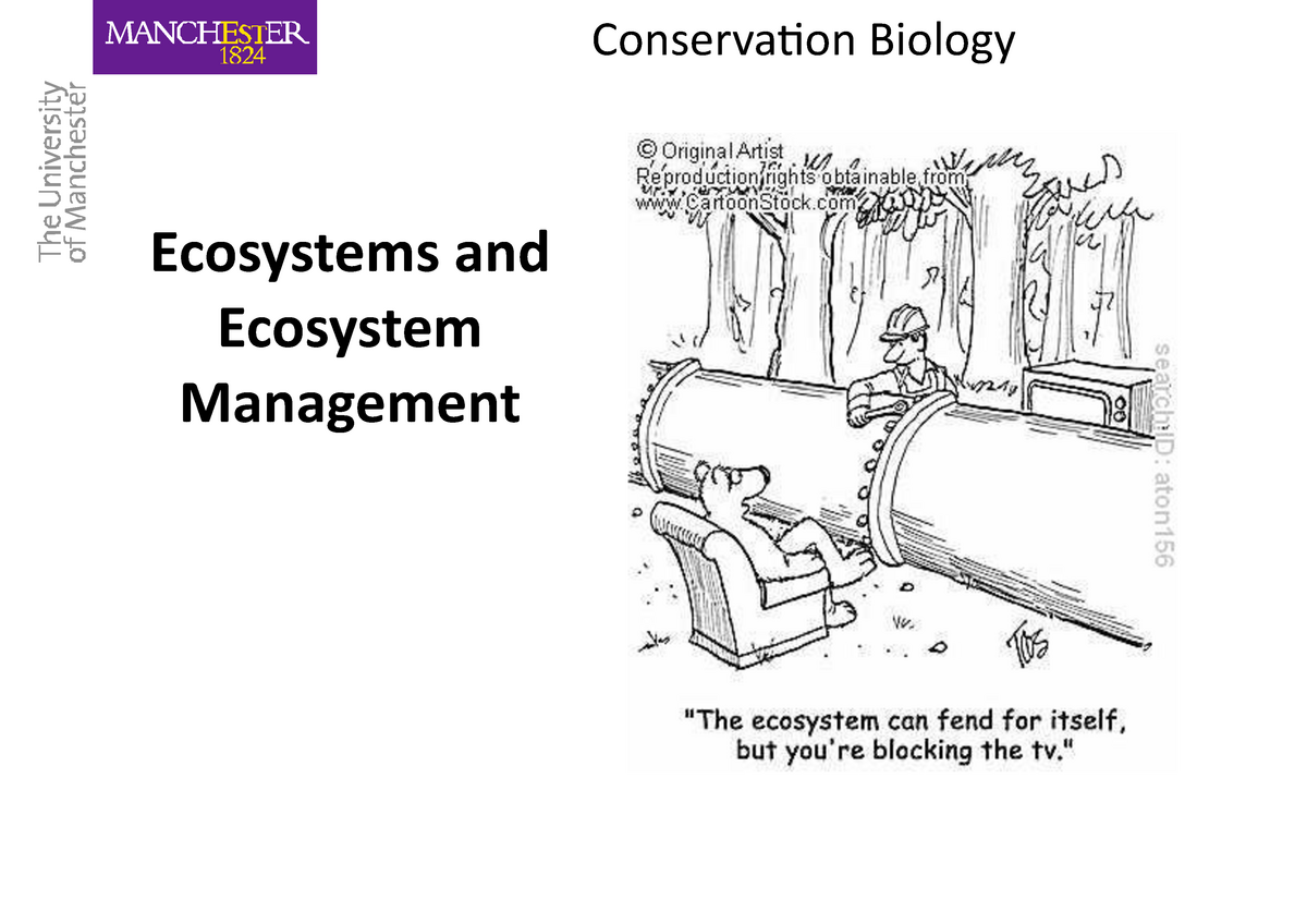 hypothesis on ecosystem pdf