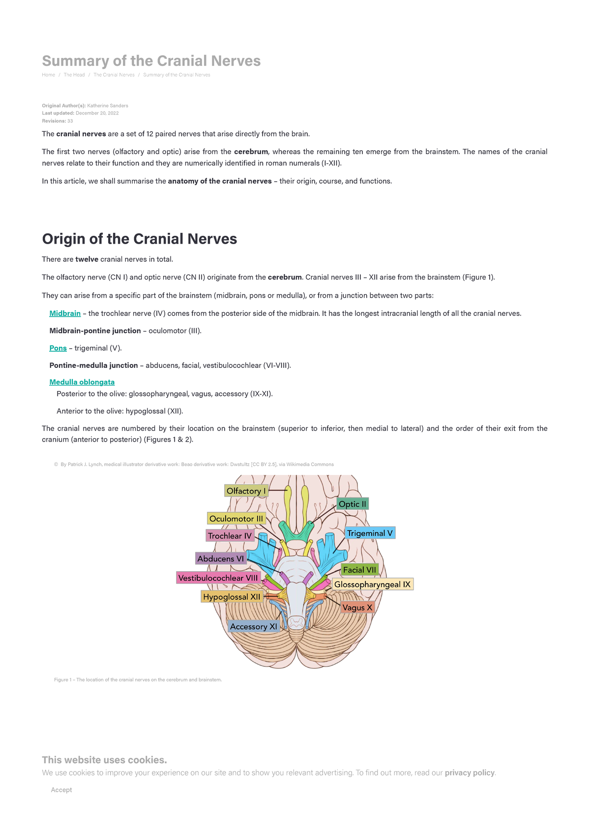 Summary of the Cranial Nerves - Teach Me Anatomy - Summary of the ...