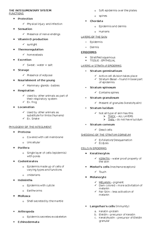 Circulatory System - CIRCULATORY SYSTEM 1. CARDIOVASCULAR SYSTEM heart ...