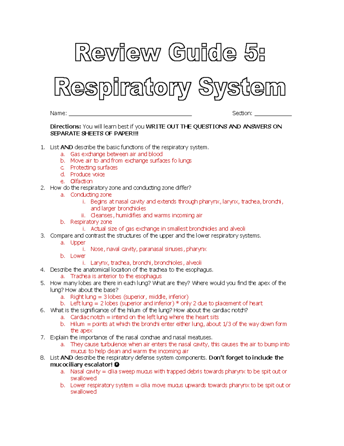 5 Respiratory System Review Guidemw 2021 - Name