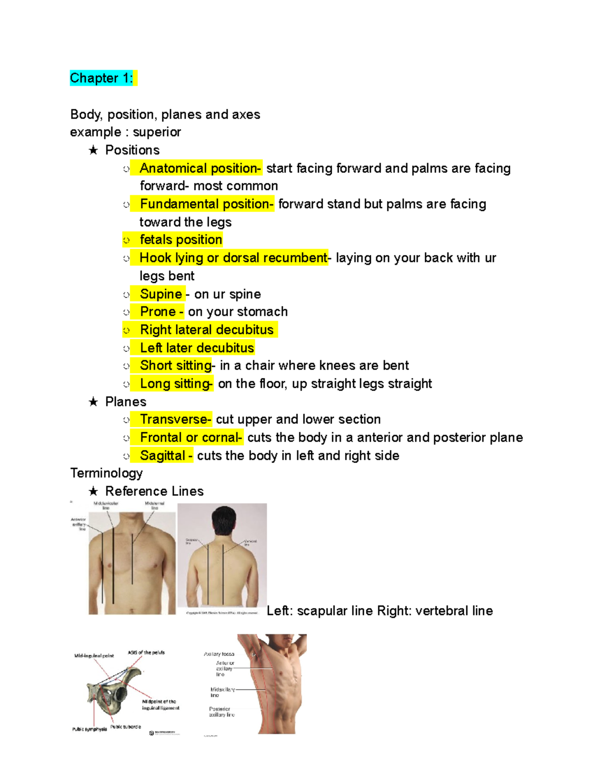 Different Patient Positioning - Different Positionings Supine Position  /Dorsal/Horizontal Recumbent: - Studocu