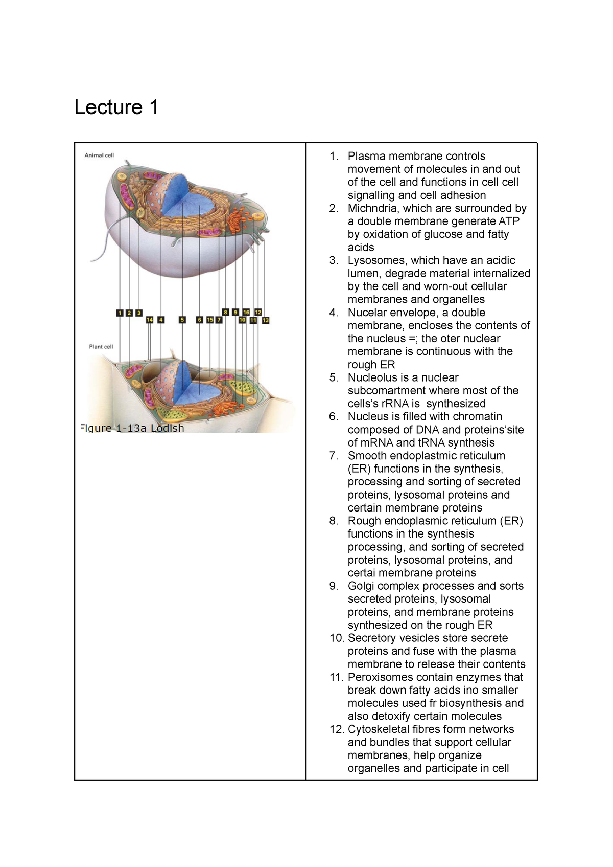 Biosci 201 Module 1 Cell Biology Lecture 1-6 - Lecture 1 Plasma ...