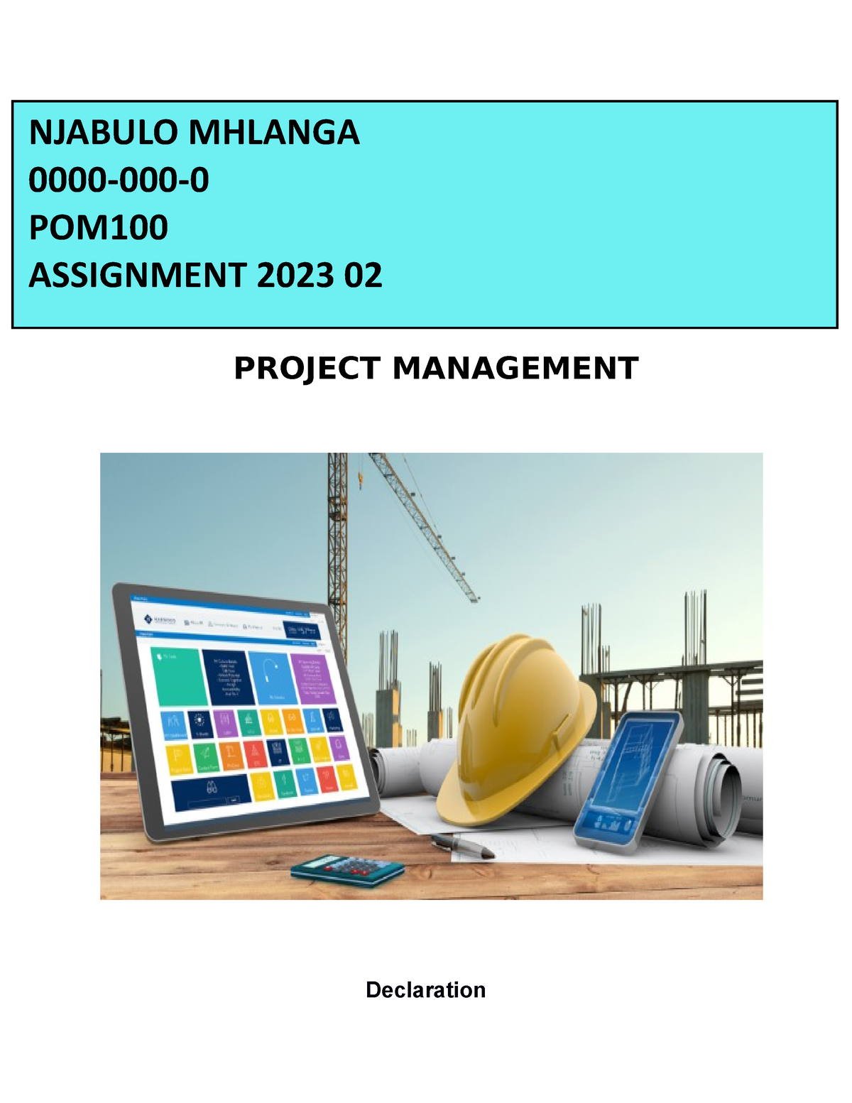 project management assignment 2