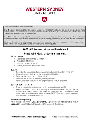 Practical 5 GIT 1 copy - NATS1010 Human Anatomy and Physiology 2 ...