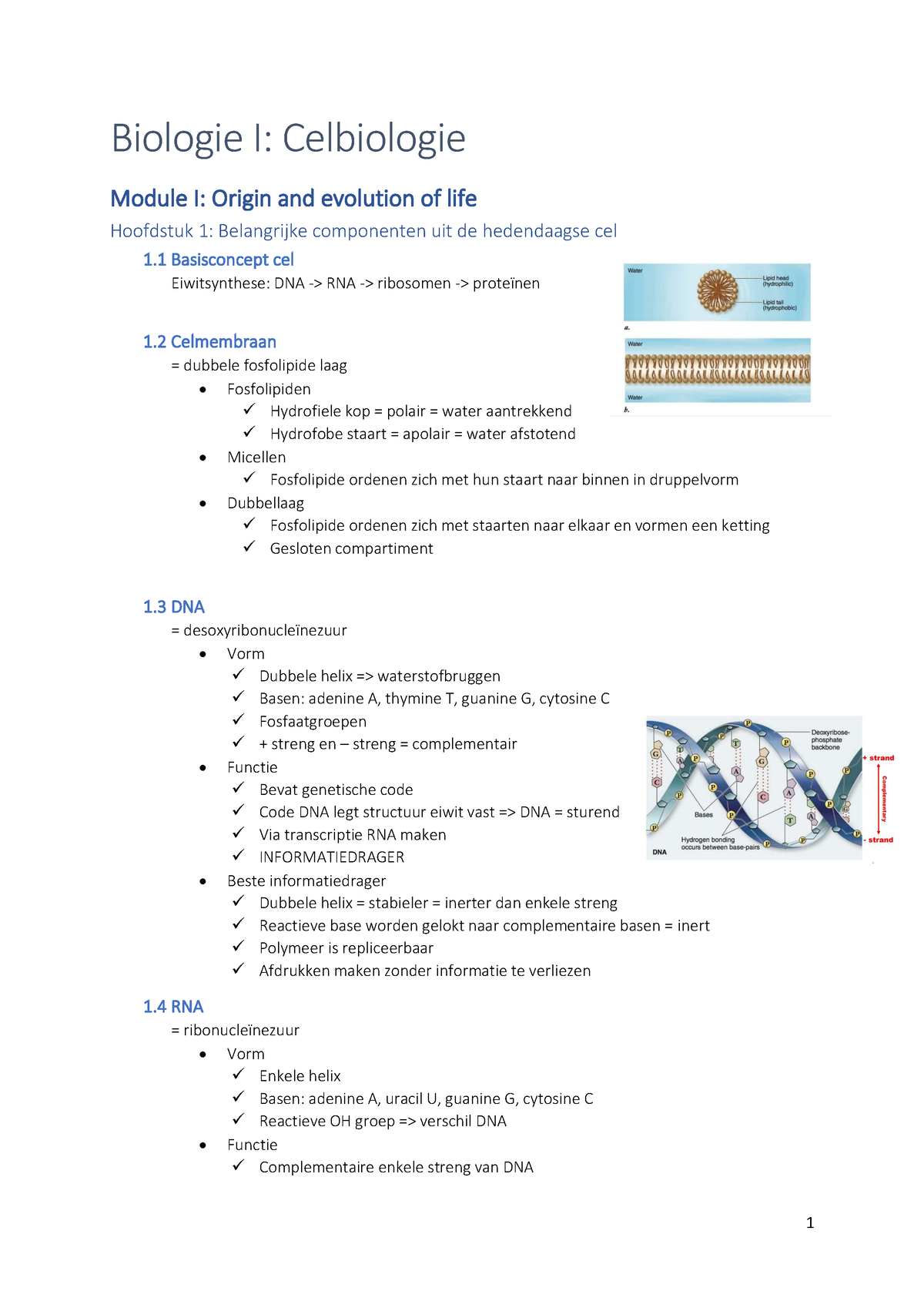 Samenvatting Module 1 - Biologie I: Celbiologie Module I: Origin And ...