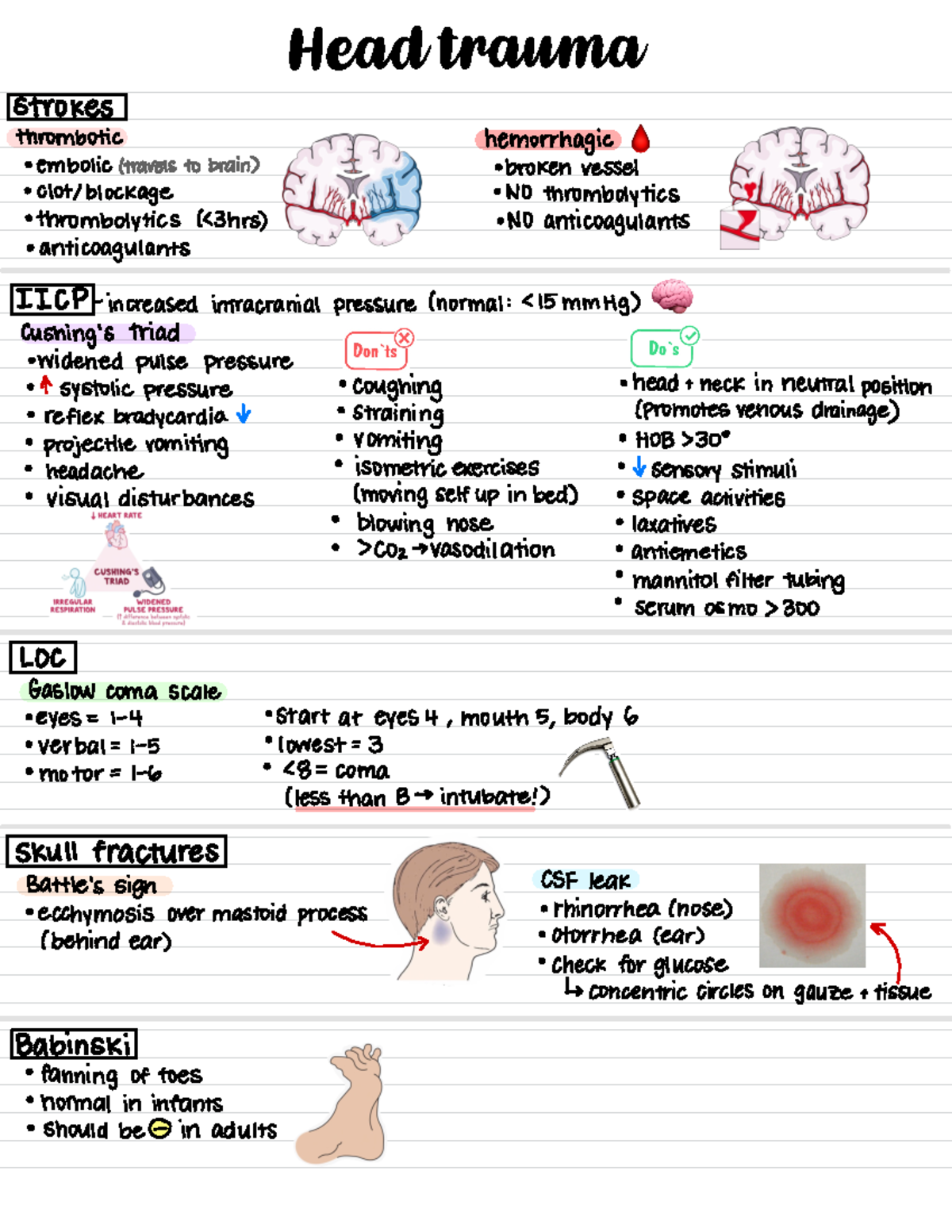 head-trauma-seizures-notes-nurs-2414-studocu