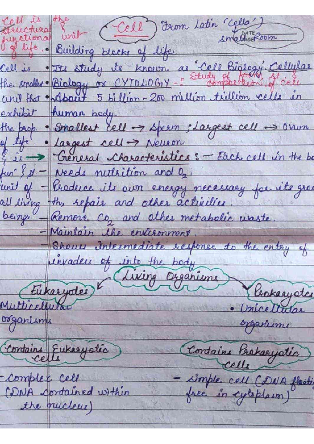 Cell bio - Handwritten notes on cell - Biomolecules And Cell Biology ...