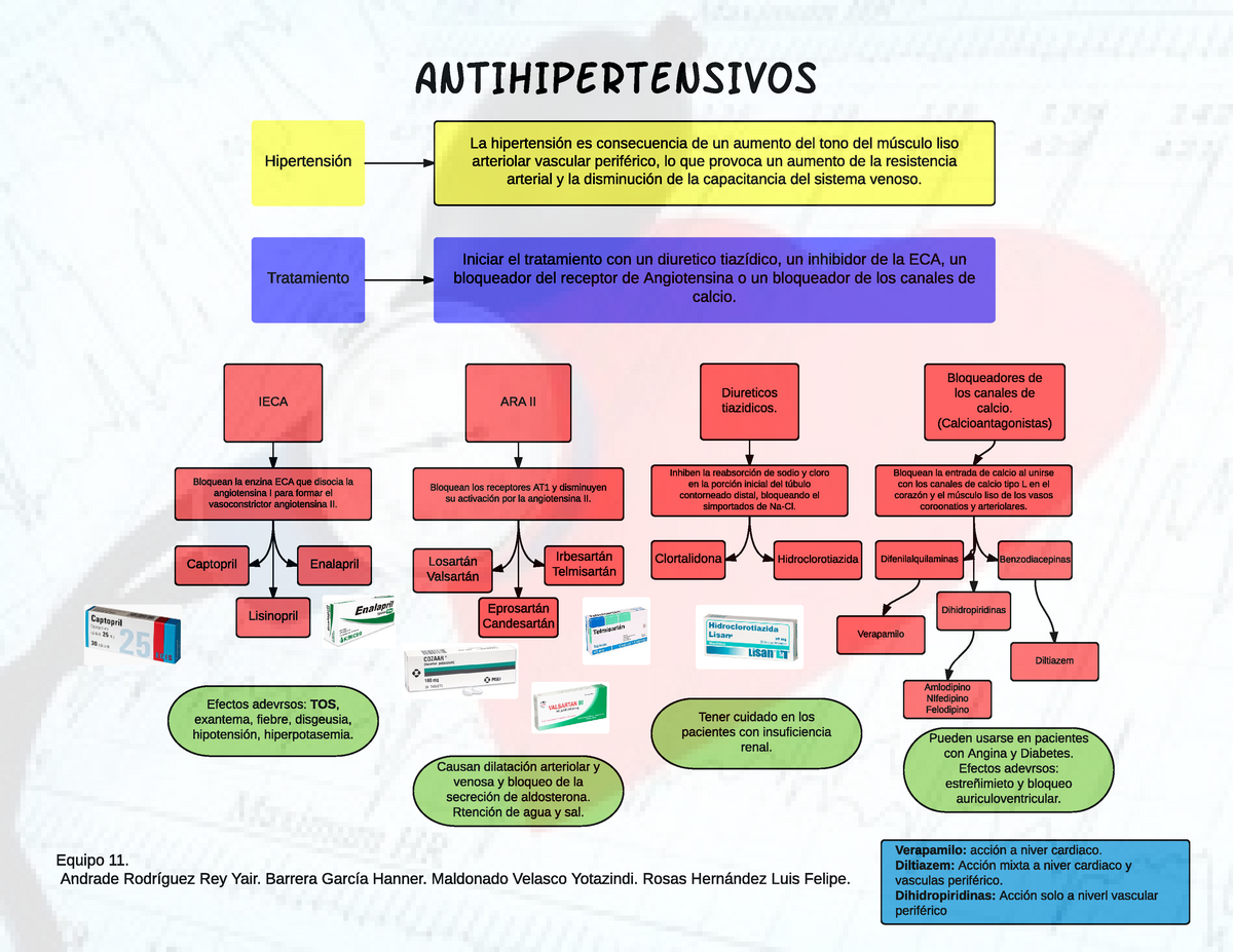 Antihipertensivos - Las Bases Farmacológicas De La Terapeutica ...