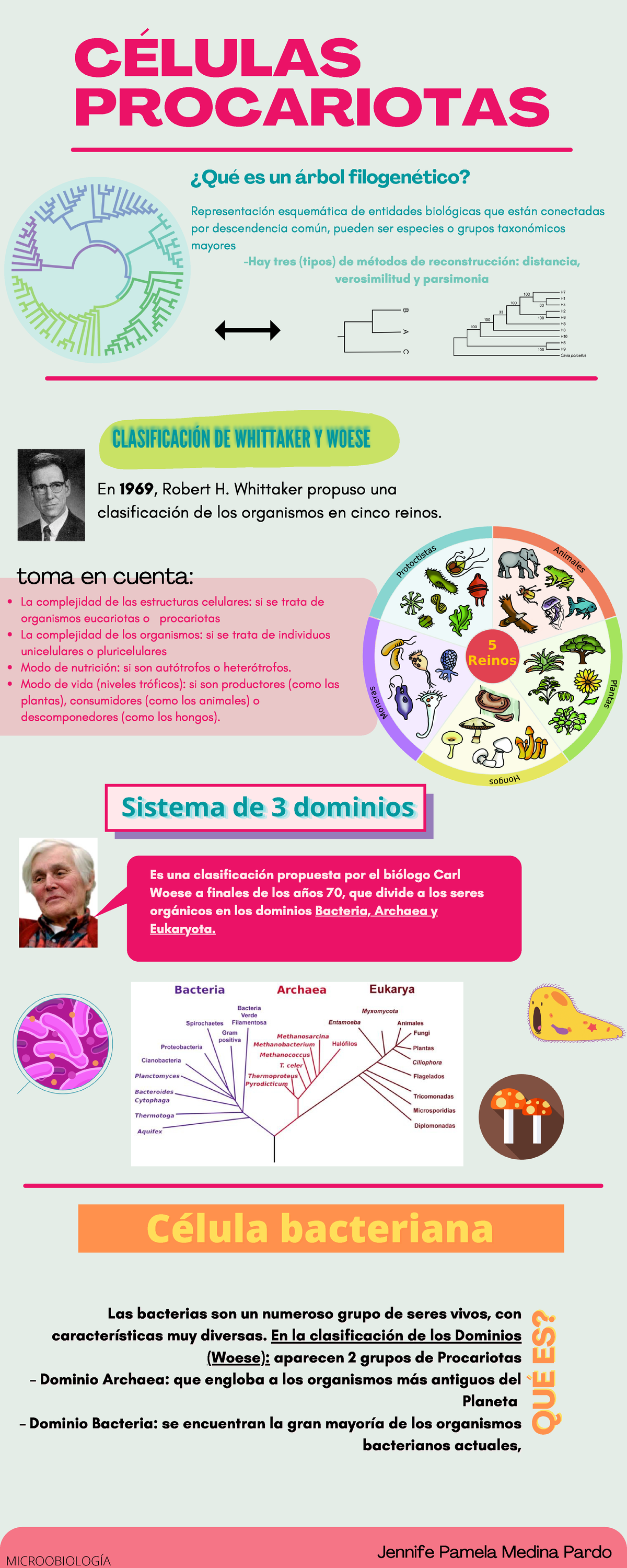 Infografia Procariotas - CÉLULAS PROCARIOTAS QUÉ ES ? QUÉ ES ...