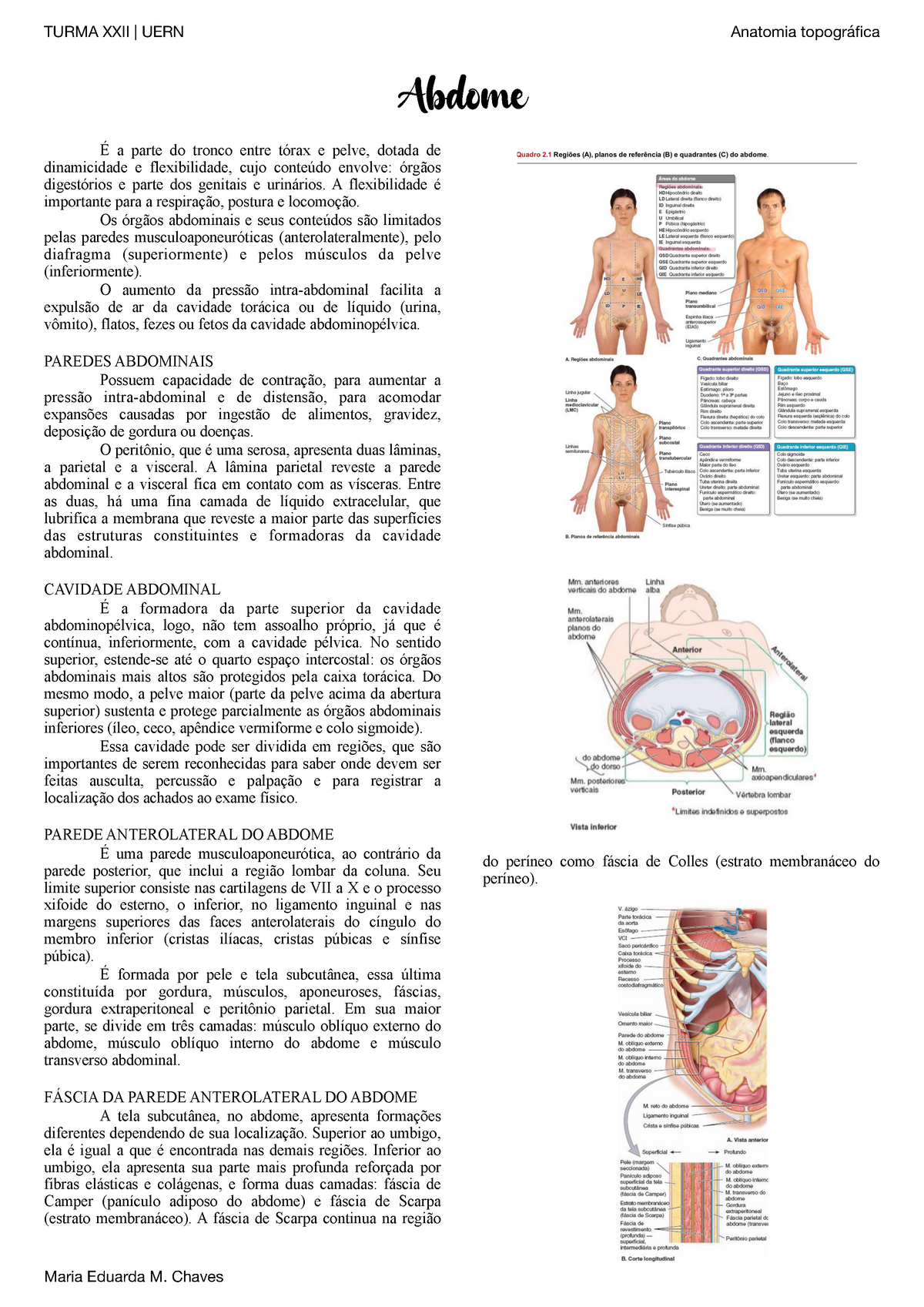 SanarFlix Medicina - Para facilitar o entendimento, o estagiário cedeu uma  foto do abdômen para vocês entenderem melhor a topografia abdominal. Quem  tem dificuldade com esses nomes, salva o post! #sanarflix #medicina #