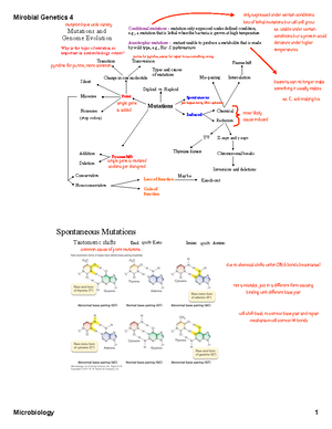 15Pathogenesis - description - Microbial Pathogenesis Pathogen ...