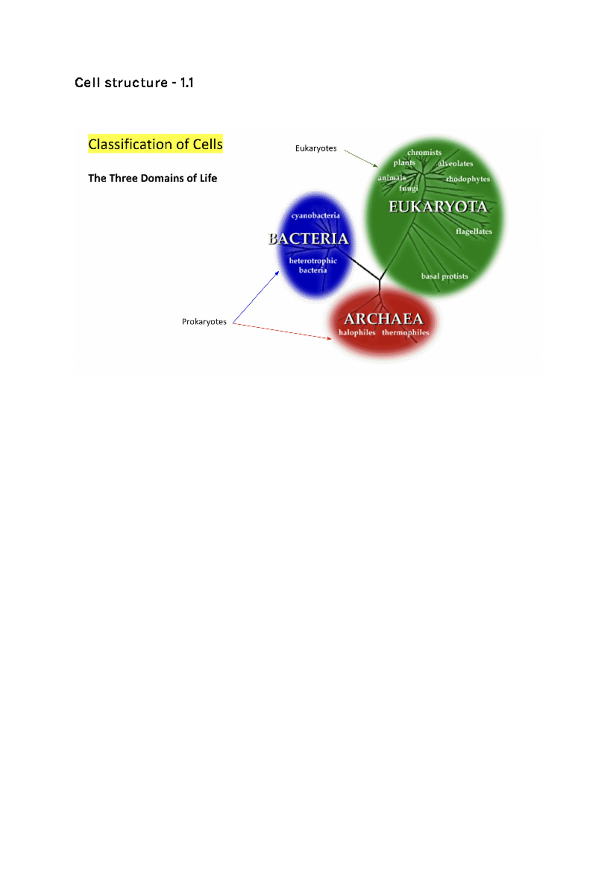 Year 11 preliminary BIO notes - Cell structure - 1. Classification of ...