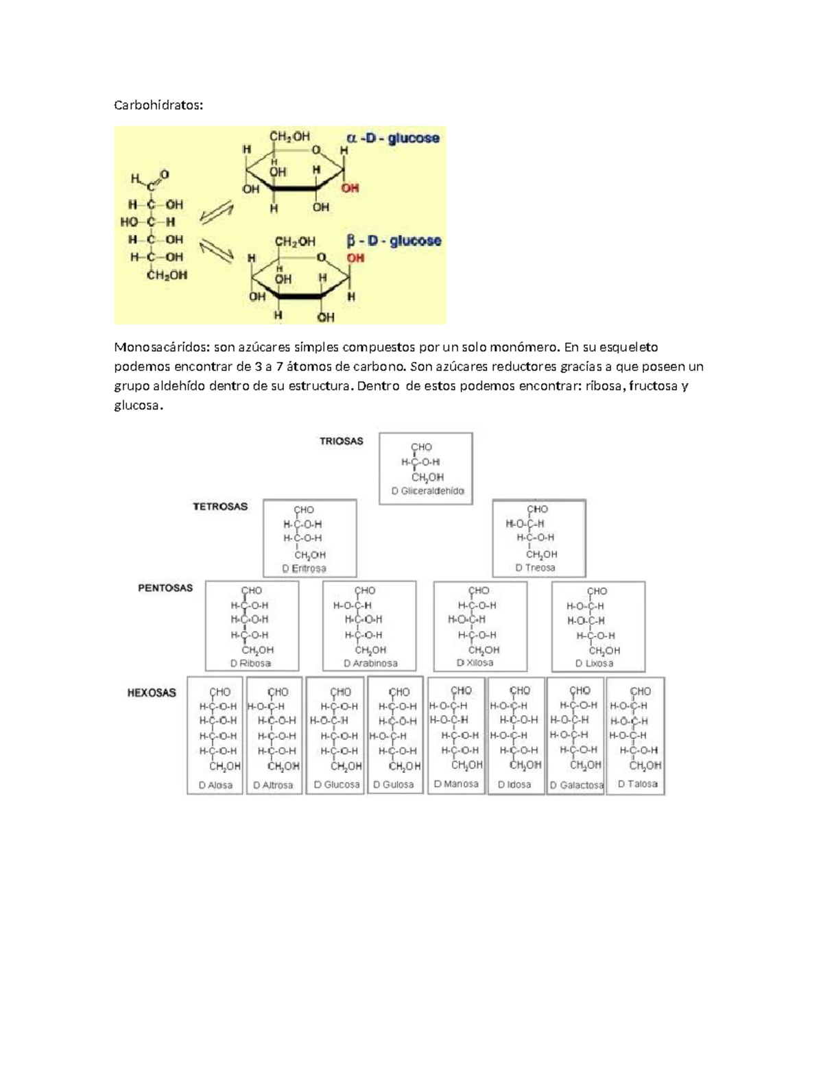 Biologia carbohidratos - Carbohidratos: Monosacáridos: son azúcares ...