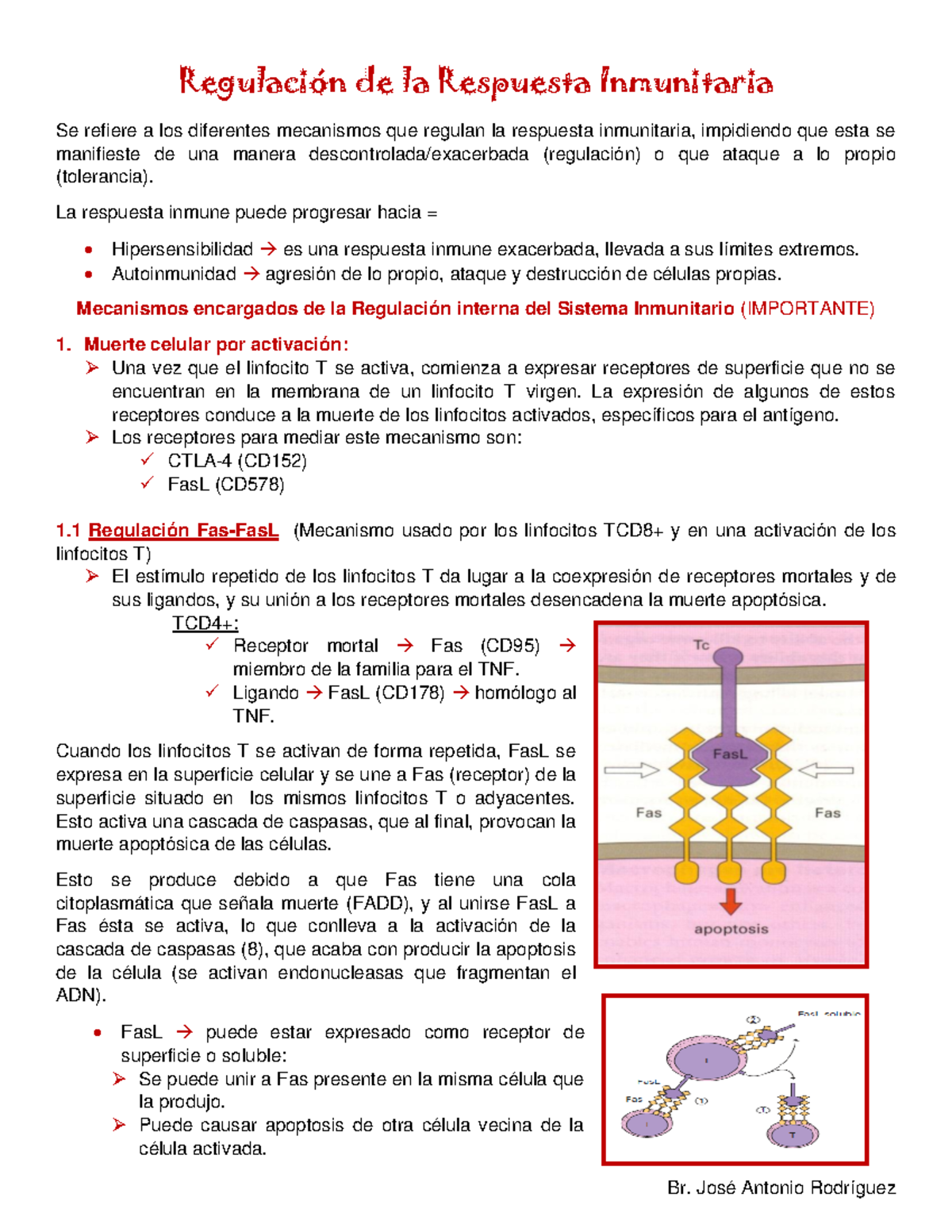 Regulaci N De La Respuesta Inmunitaria Jarr Regulaci N De La Respuesta Inmunitaria Se