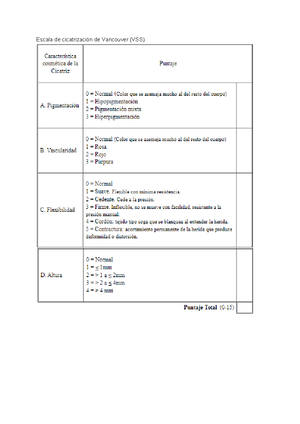 Generalidades Del Sistema Nervioso - Generalidades Del Sistema Nervioso 