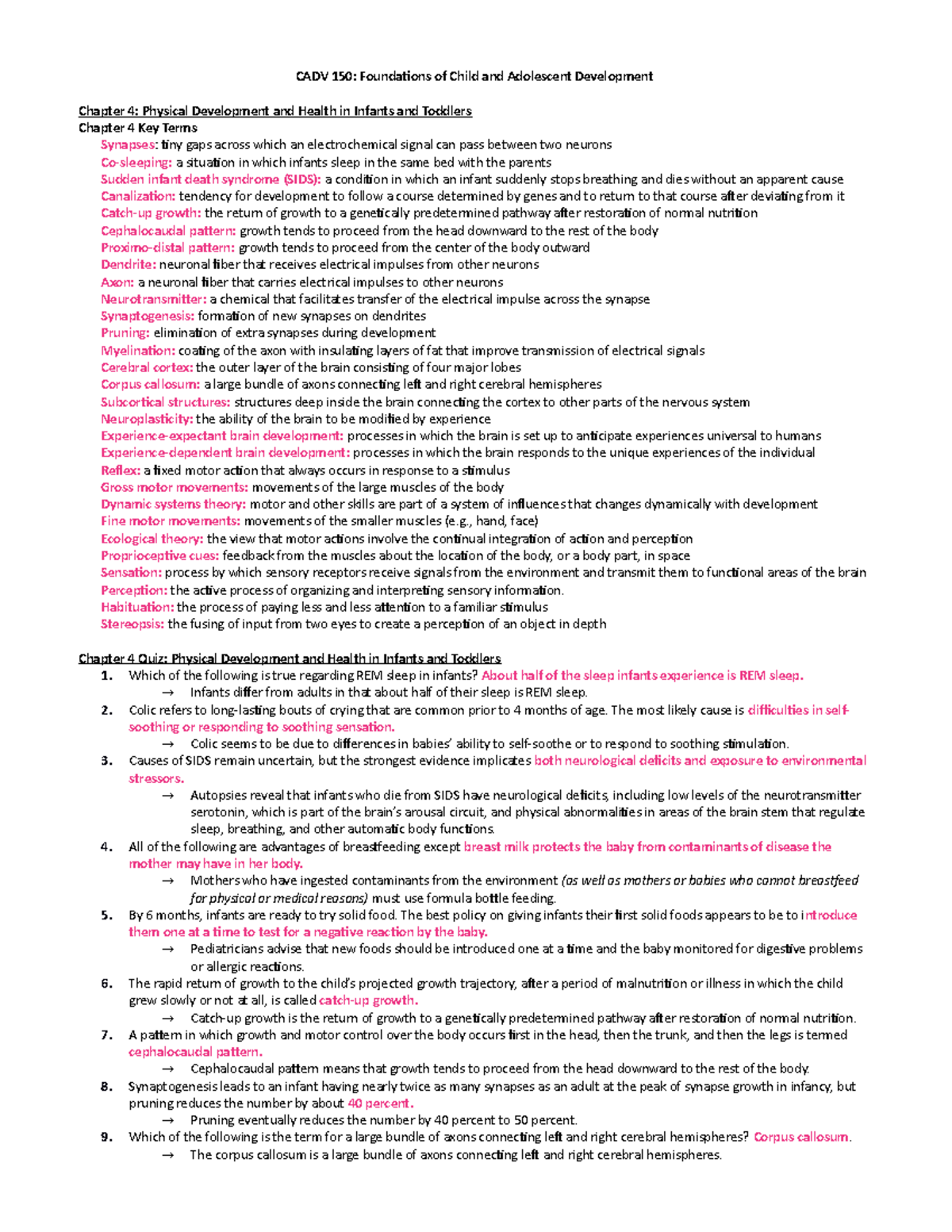 CADV 150 Chapter 4 Notes - CADV 150: Foundations of Child and ...