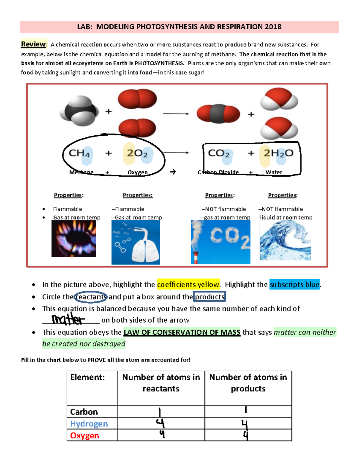 Lab Photosynthesis And Respiration LAB MODELING PHOTOSYNTHESIS AND   Thumb 1200 1553 