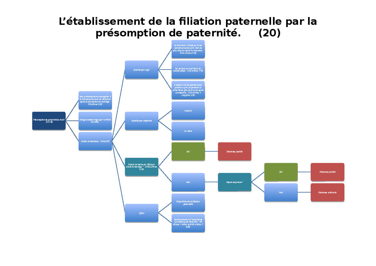 20. La présomption de paternité - L’établissement de la filiation