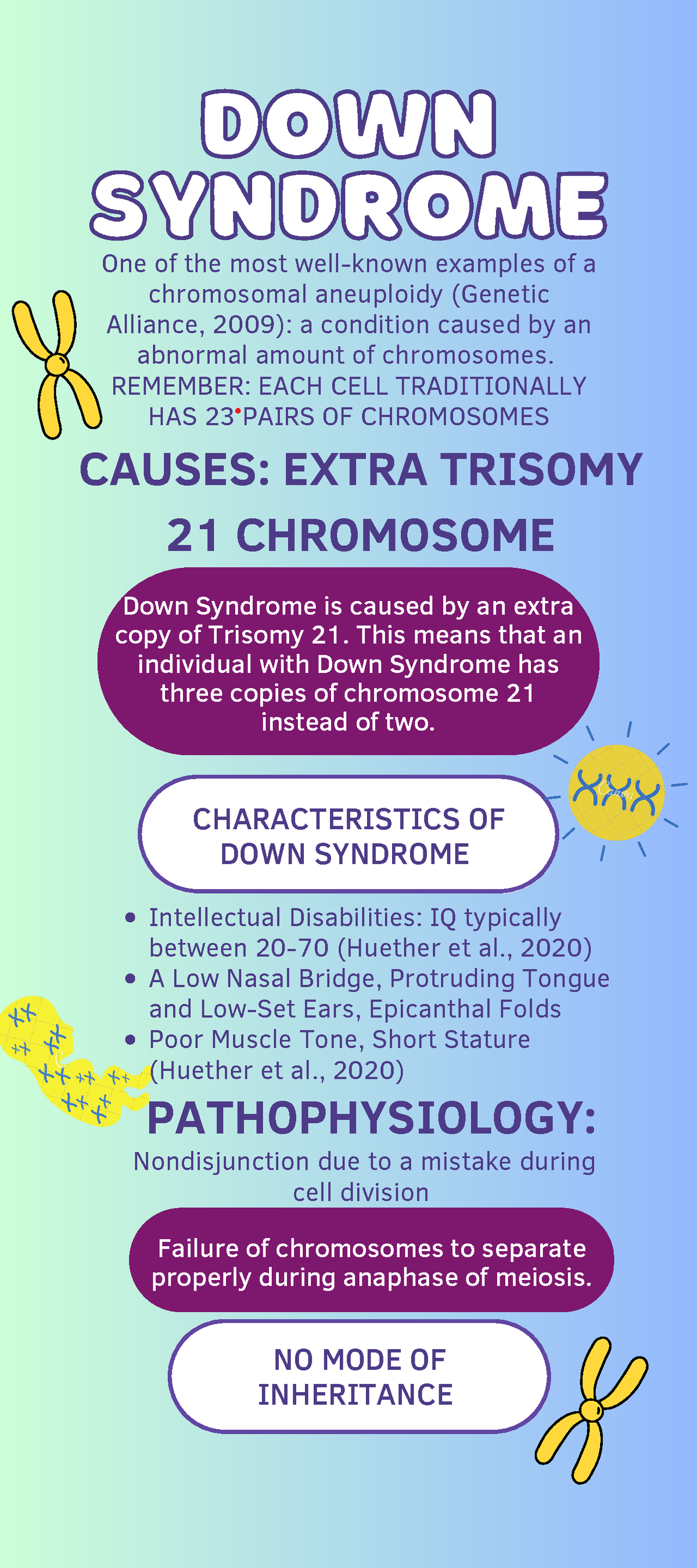 Quick Facts: Down Syndrome (Trisomy 21) - Merck Manuals Consumer