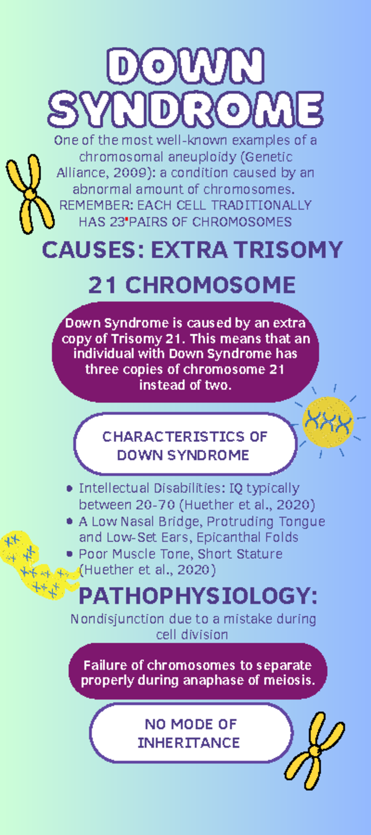 Quick Facts: Down Syndrome (Trisomy 21) - Merck Manuals Consumer