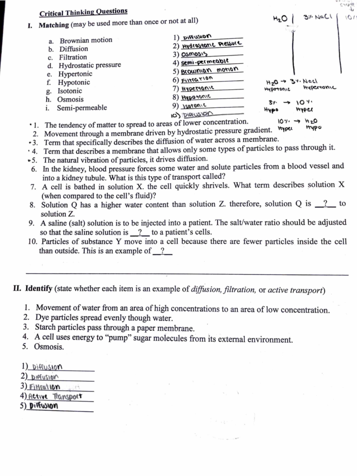 Physiology Lab Manual Lab Answers Biol 310 Studocu Physiology Lab Manual Lab Answers Biol 310 Studocu