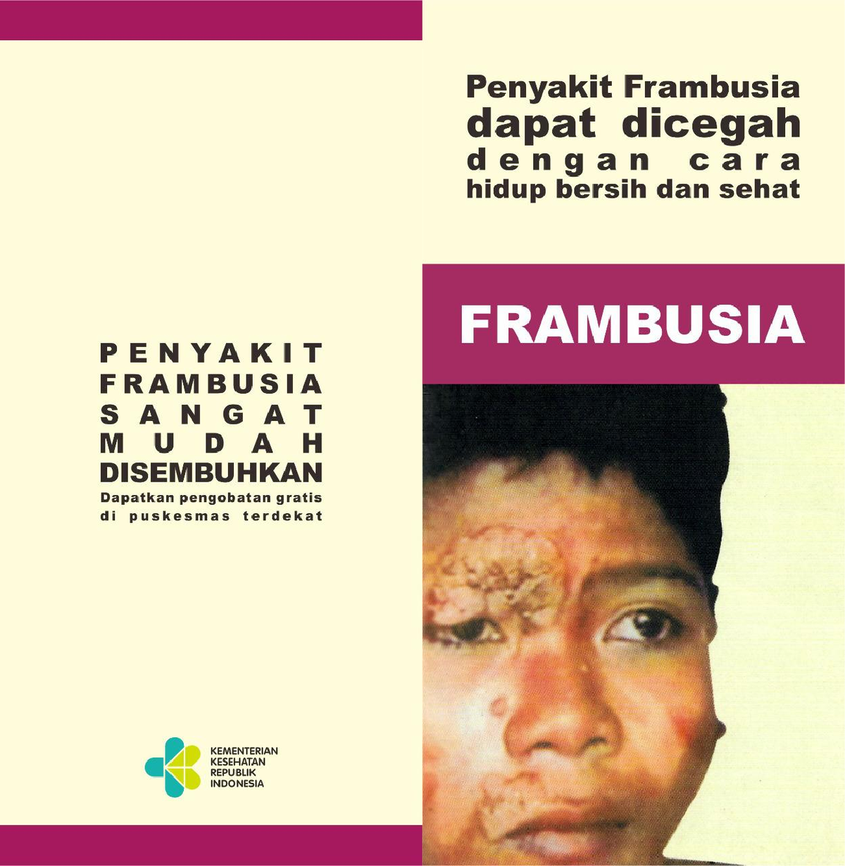 Leaflet Frambusia - Healty - Tujuan Penulisan Dan Mengatasi Rendahnya ...